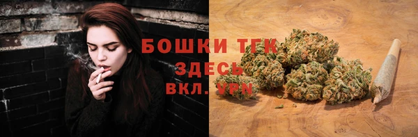 apvp Аркадак