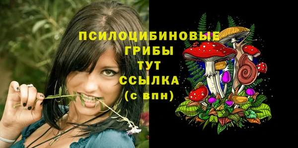 гидра Армянск