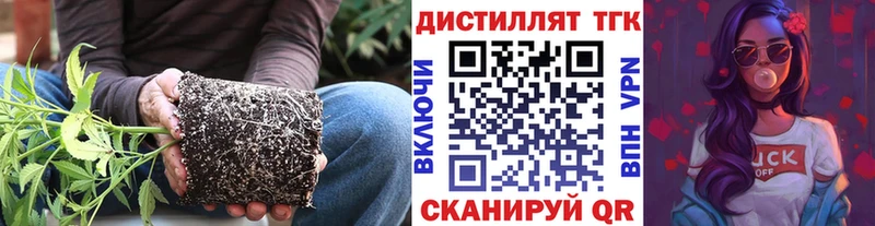 Дистиллят ТГК Wax  сколько стоит  Бавлы 