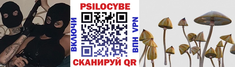 гидра ТОР  Бавлы  Галлюциногенные грибы Psilocybine cubensis  как найти наркотики 